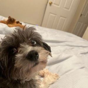 Meet your Posher, Fay